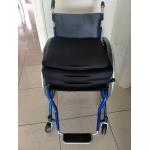  CARROZZINA ULTRALEGGERA + CUSCINI INCLUSI!