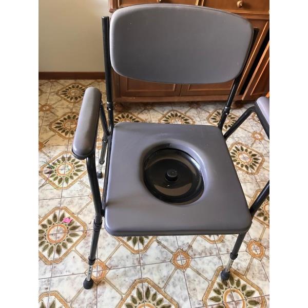 sedia wc